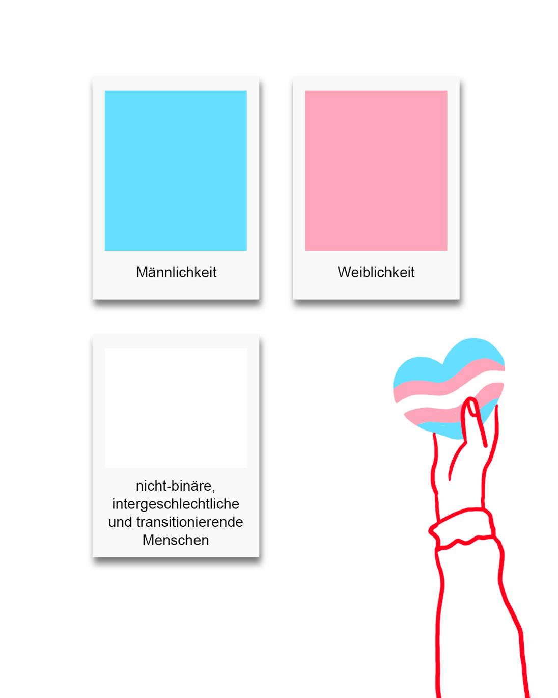 Erklärung der Farben der Trans Pride Flag
